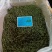田七花三七花