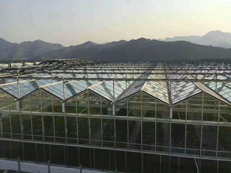 纹络式温室，薄膜连栋温室，PC板温室，玻璃温室