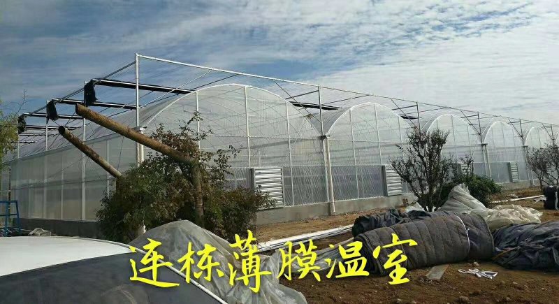 纹络式温室，薄膜连栋温室，PC板温室，玻璃温室