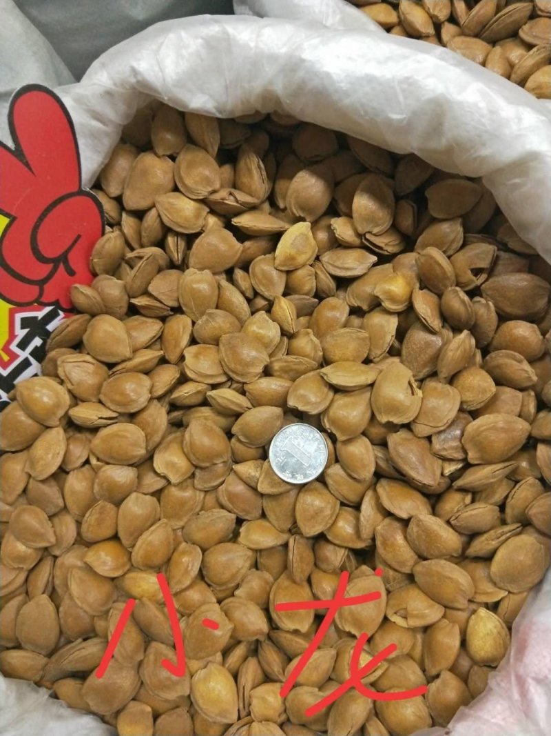 开口杏核产地直销（原味，五香味）量大的来