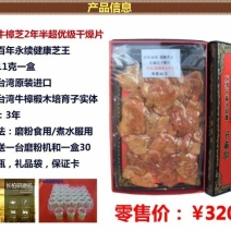 原生态椴木牛樟芝