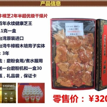 原生态椴木牛樟芝