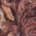 驴肉拆骨肉