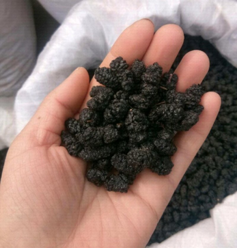 桑葚干食用天然无泥沙免洗~药用干净中药材批发零售