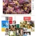 多彩花米多彩米少数民族特产特色花米饭可煮饭包邮