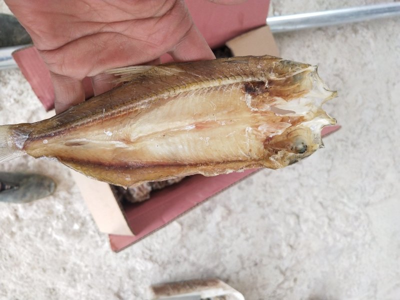 贵州北盘江翘嘴干鱼