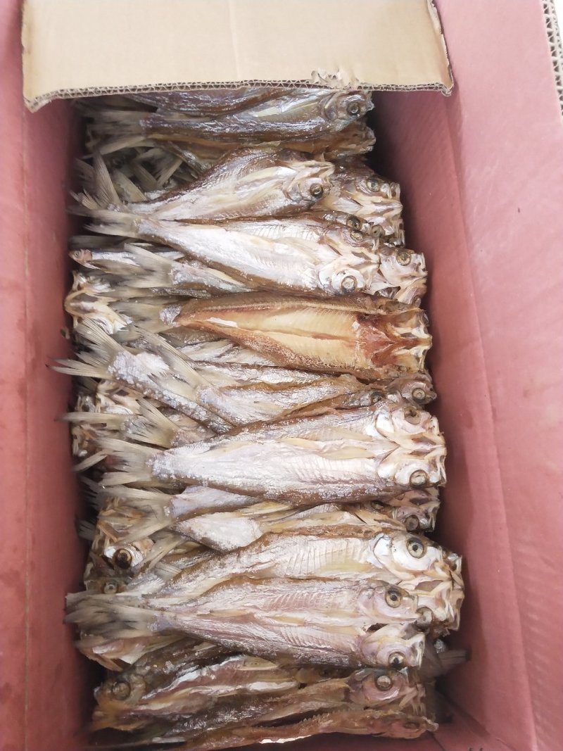 贵州北盘江翘嘴干鱼