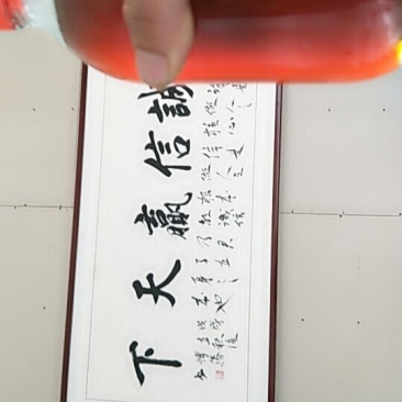 优质农家自榨醇香芝麻香油