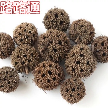 路路通中药材枫球子通草枫树球野生药用泡脚枫香果枫果九孔子