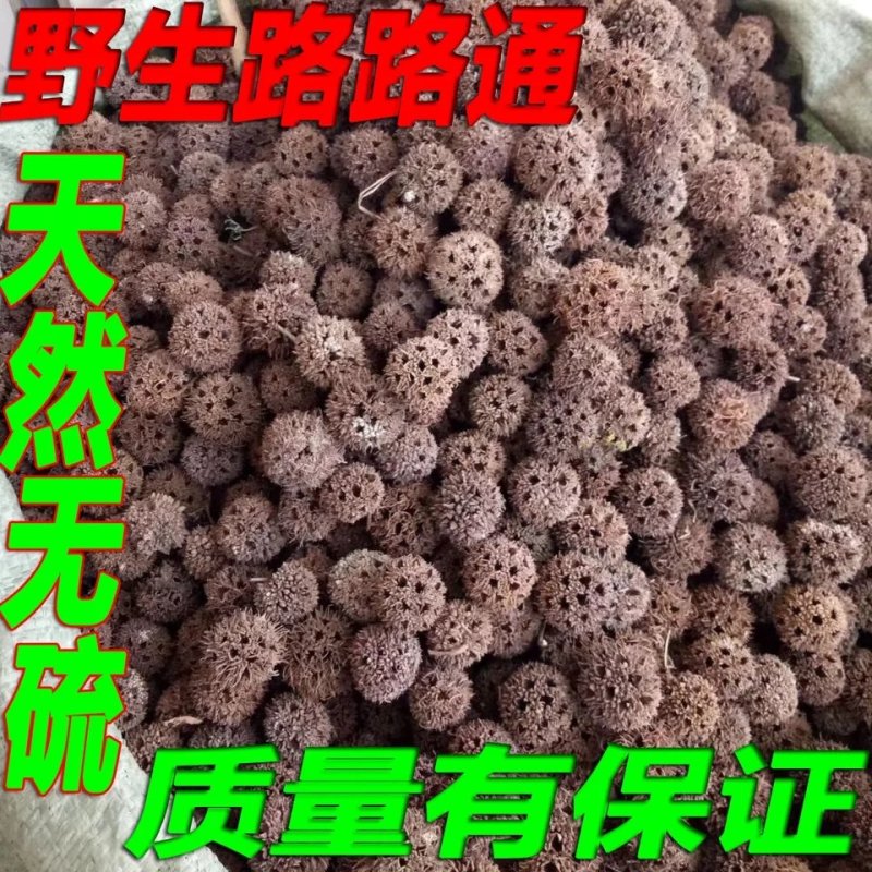 路路通中药材枫球子通草枫树球野生药用泡脚枫香果枫果九孔子