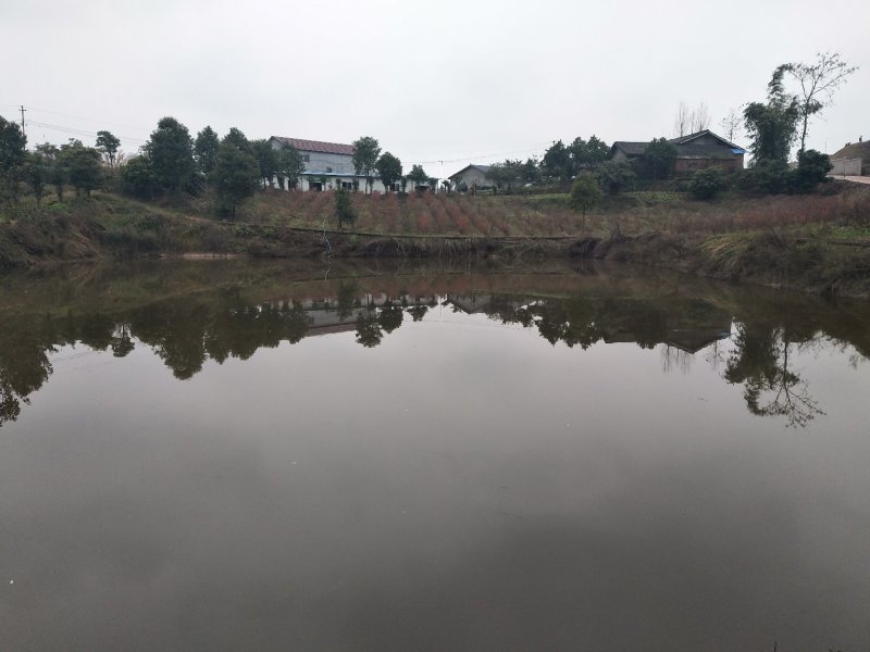 养殖鱼塘