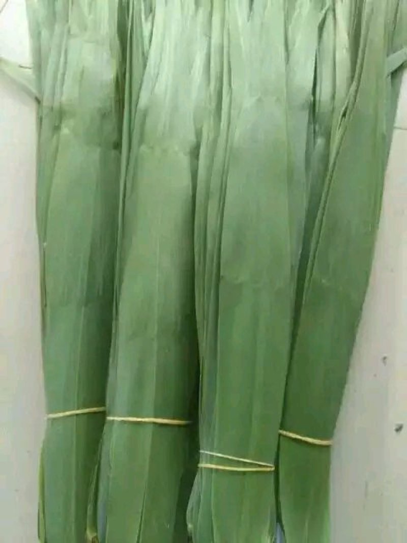 江苏精品叶子，量大优惠，服务至上…