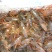 龙虾