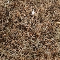 半边莲草药各种中药材批发质量保证产地直销