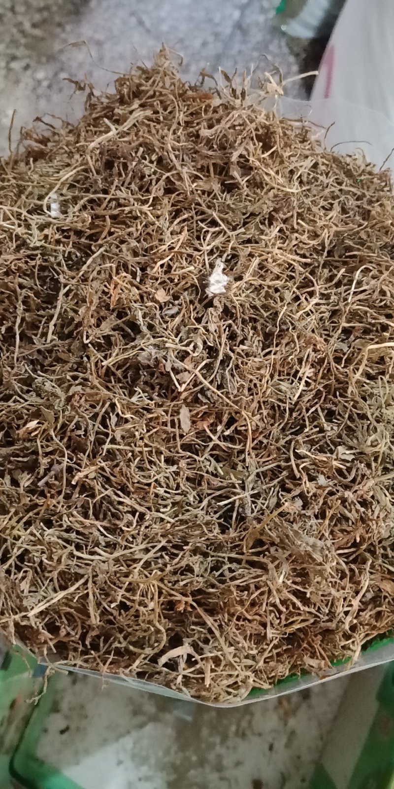 半边莲草药各种中药材批发质量保证产地直销