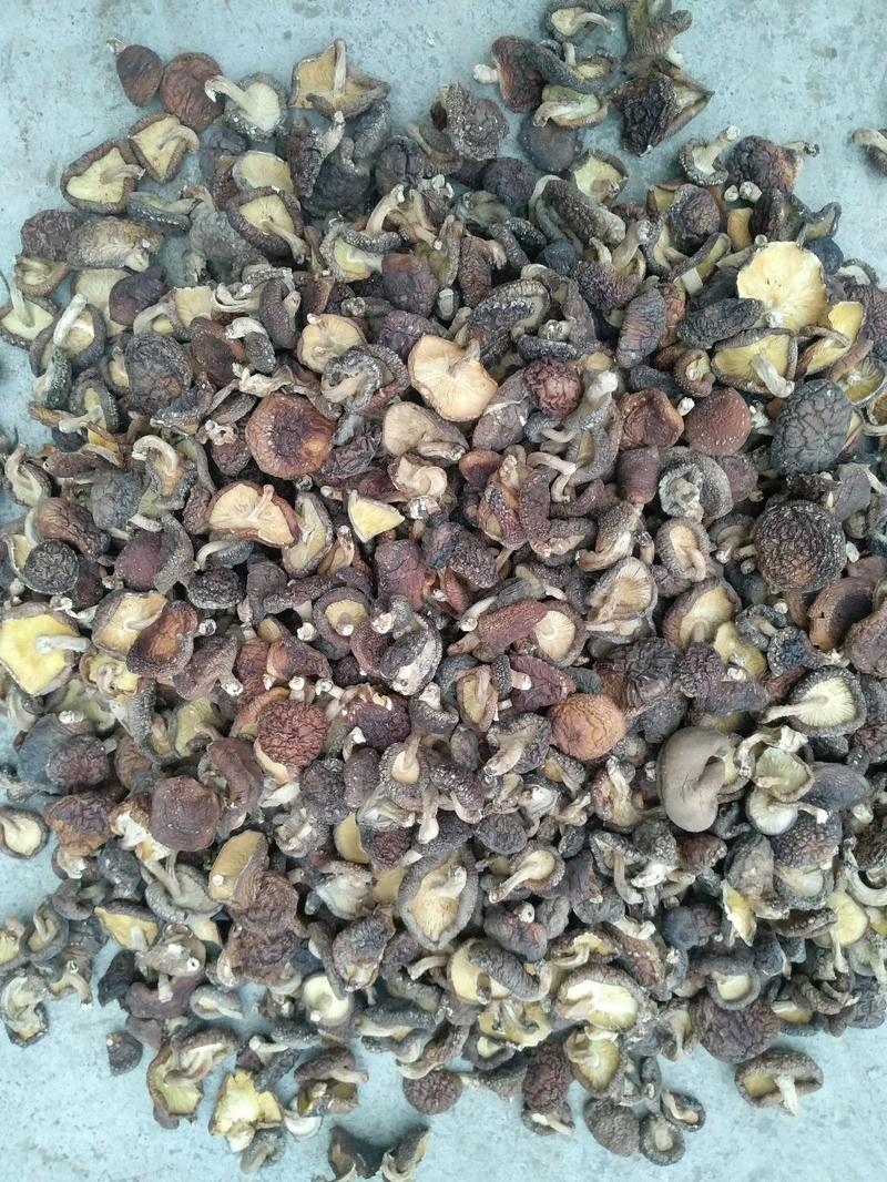 仿野生椴木木头香菇，足干货、肉质肥厚菇香味浓