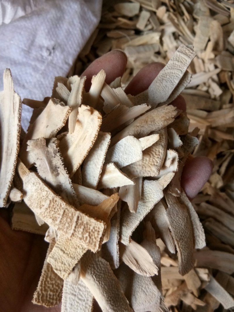 鳖甲湖北无硫熏各种规格一公斤起包邮