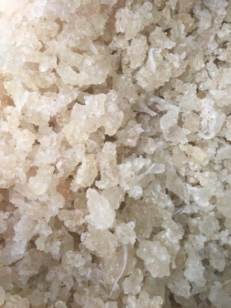 雪燕