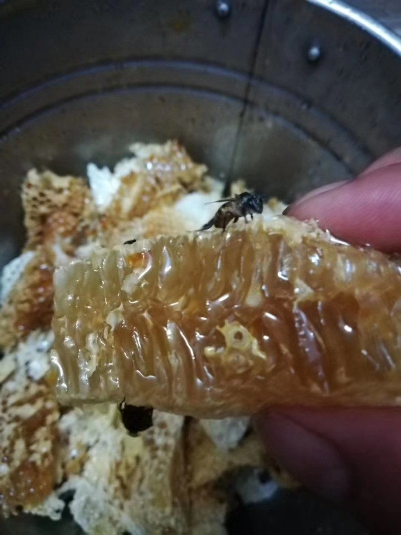 蜂蜜
