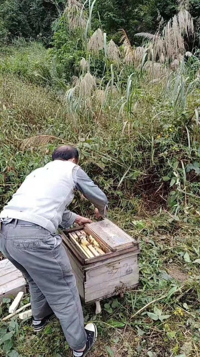 蜂蜜