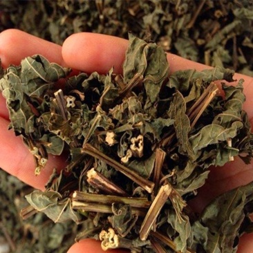 中药材溪黄草批发零售量大从优