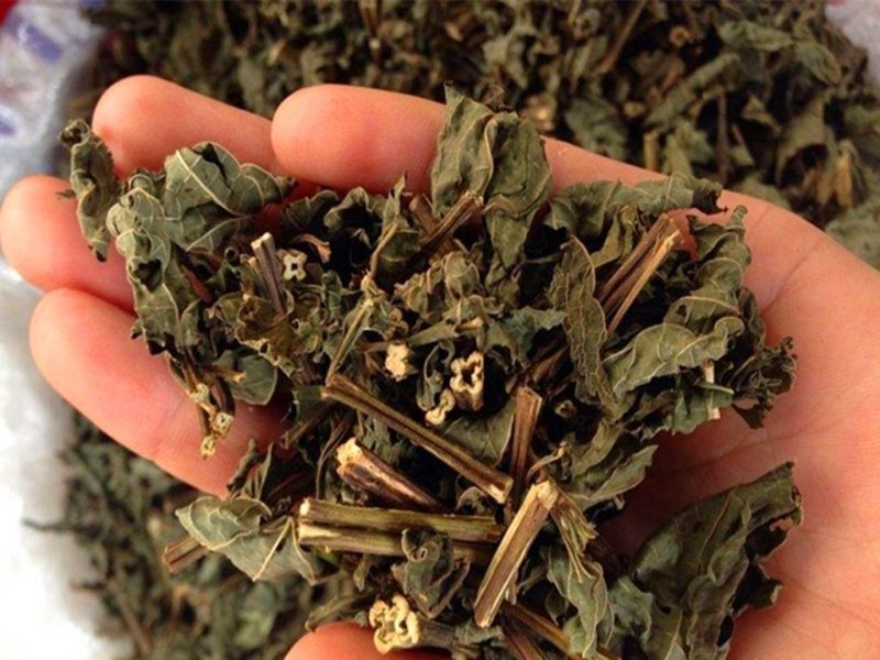 中药材溪黄草批发零售量大从优