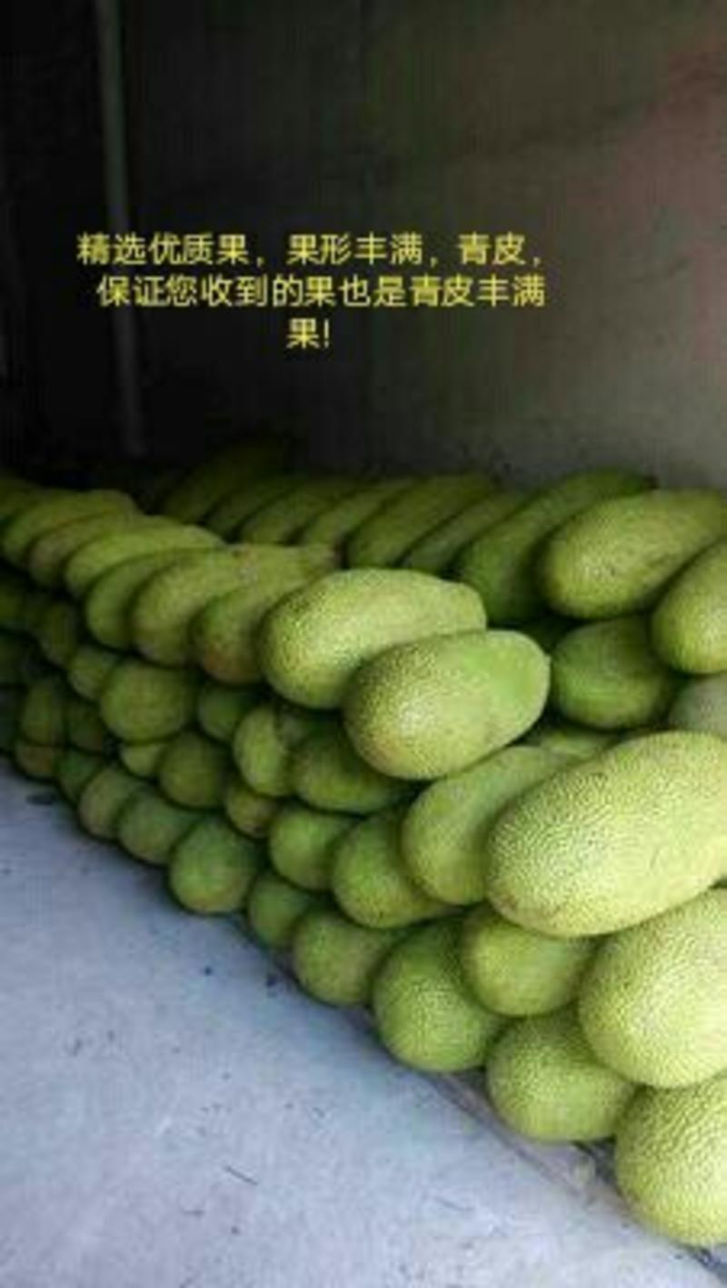 海南菠萝蜜马来一号件22~25斤108包邮送3斤香水菠萝