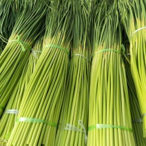 蒜薹，上市，大量上市红帽蒜苔品质好价格优