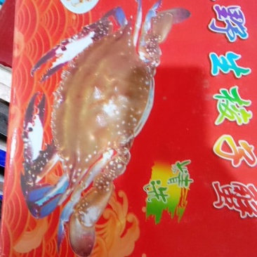 梭子蟹螃蟹海鲜特大梭子蟹海鲜