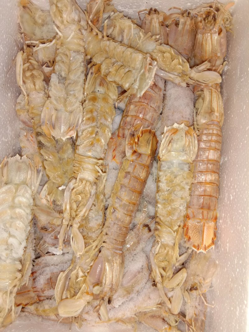 冻皮皮虾冻皮皮虾冻皮皮虾