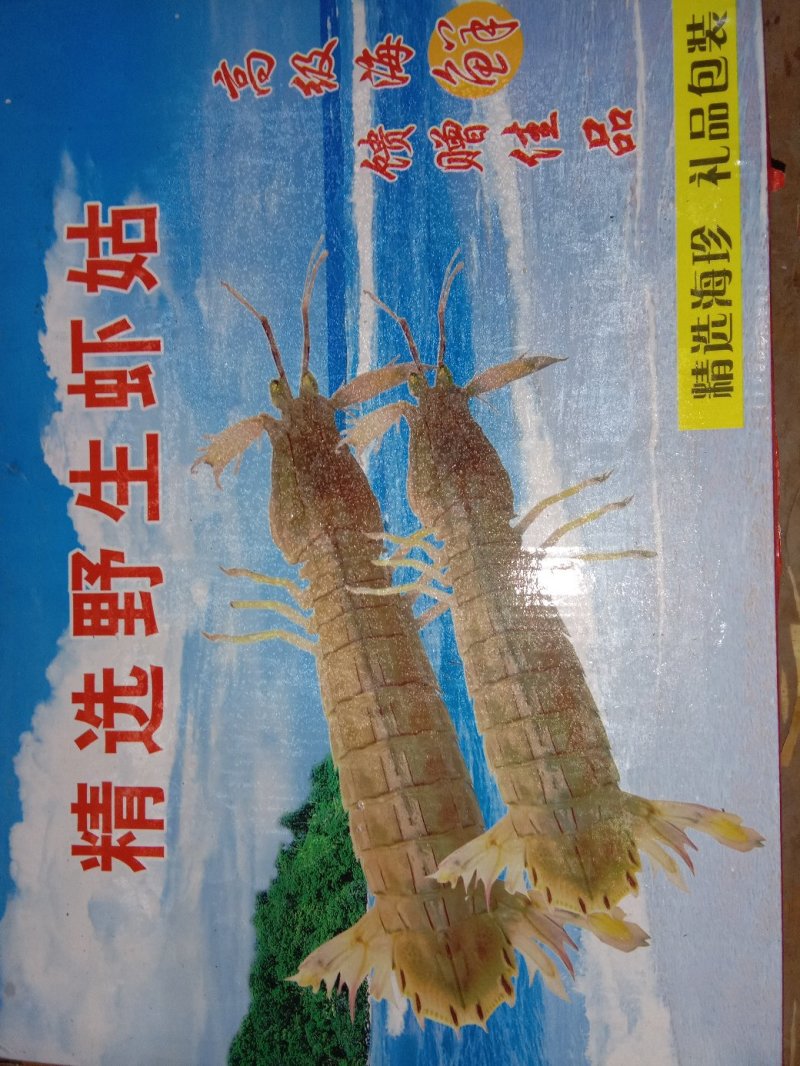 速冻皮皮虾冻皮皮虾冻皮皮虾