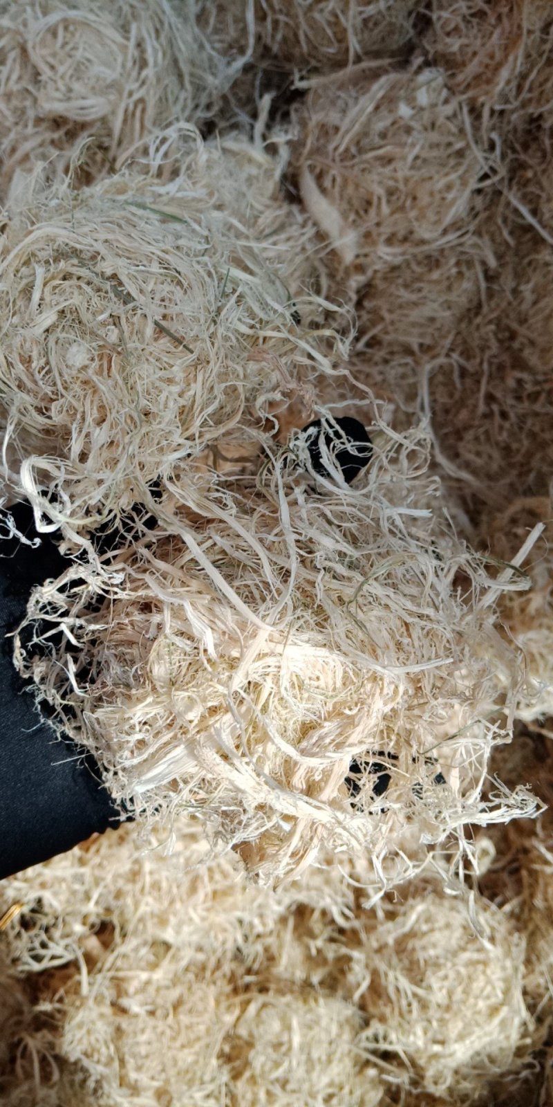 竹茹竹茹球各种中药材批发质量保证