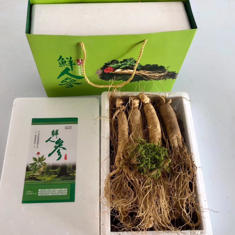 人参