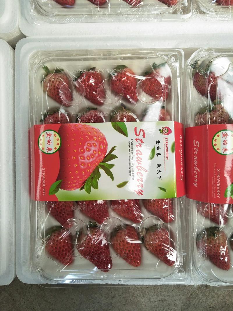 安徽长丰红颜草莓基地欢迎广大客户，精品礼盒装