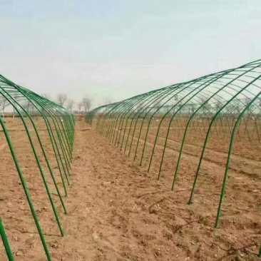 蔬菜大棚温室大棚骨架养殖大棚