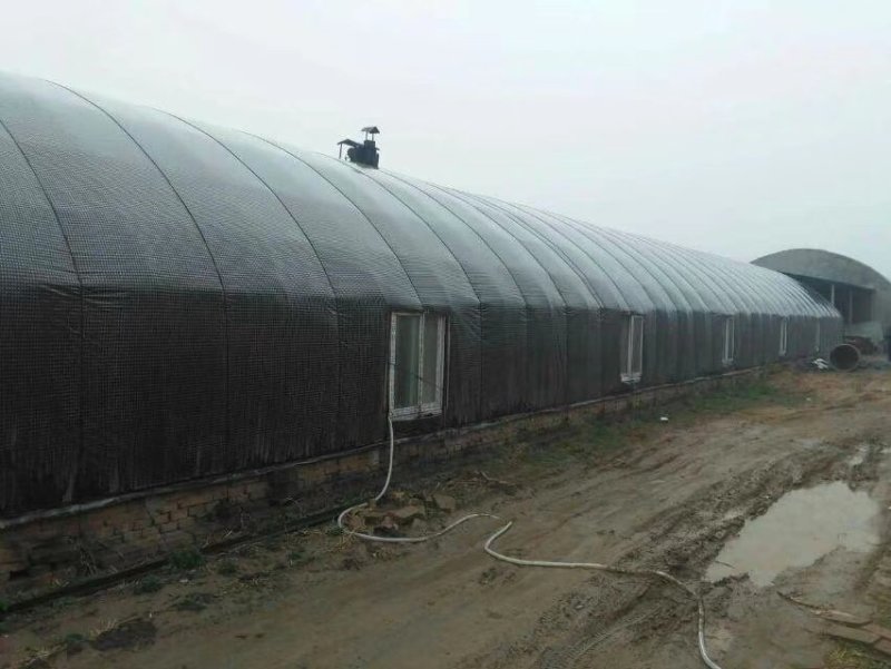 养猪大棚连栋大棚蔬菜大棚食用菌大棚温室棚大棚配件