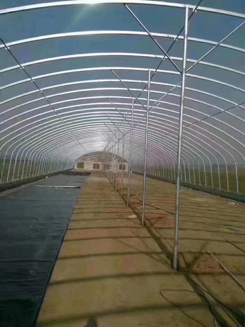 养猪大棚连栋大棚蔬菜大棚食用菌大棚温室棚大棚配件