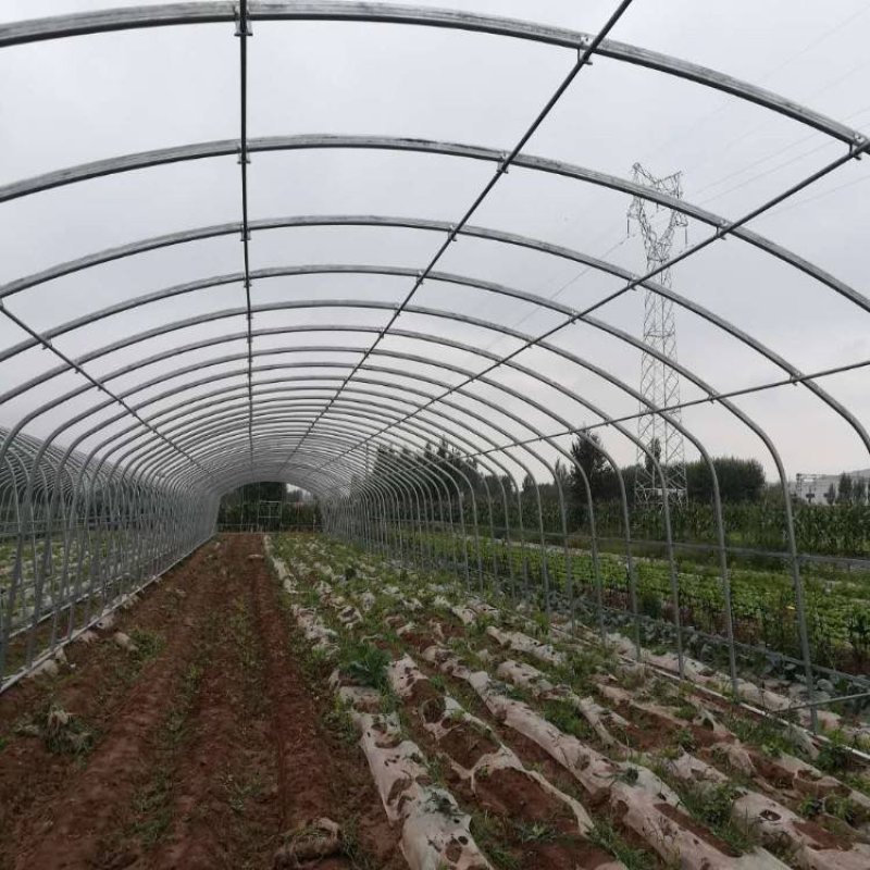 几字钢大棚，椭圆管大棚养殖蔬菜大棚温室配件大棚