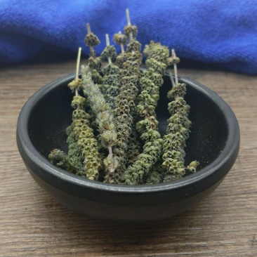 荆芥穗无硫散装批发零售冷背中药材