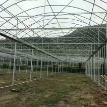 蔬菜大棚厂家温室大棚建设养殖大棚安装
