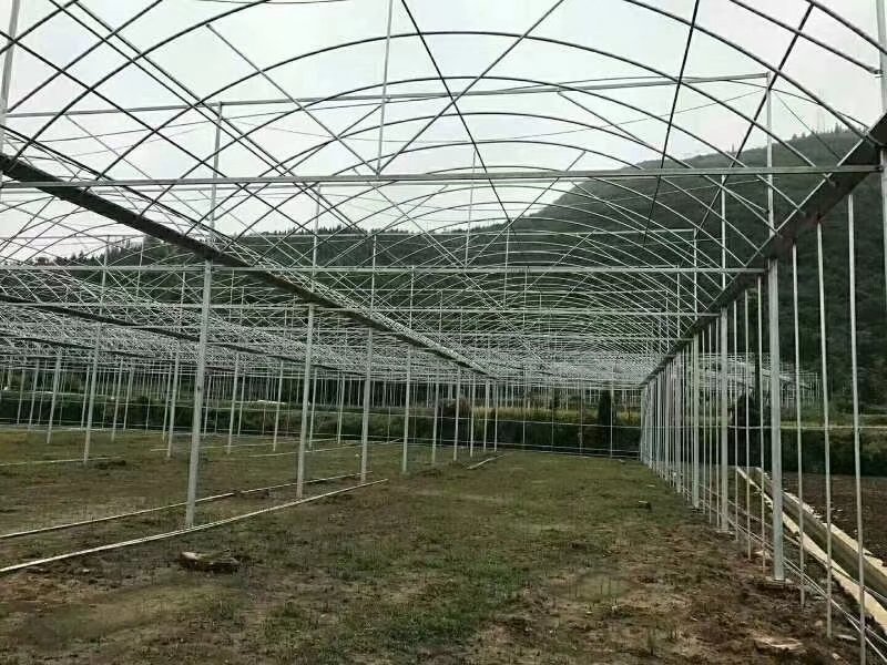 蔬菜大棚厂家温室大棚建设养殖大棚安装