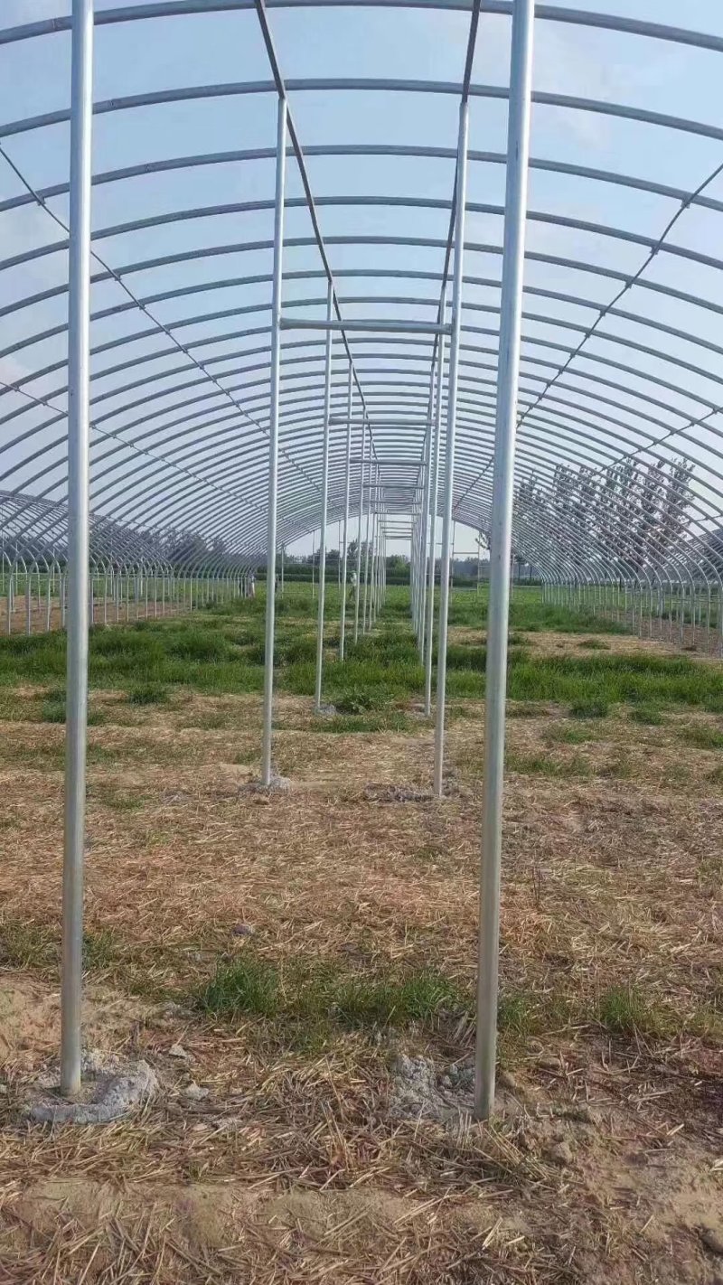 蔬菜大棚厂家温室大棚建设养殖大棚安装