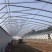 蔬菜大棚厂家温室大棚建设养殖大棚安装