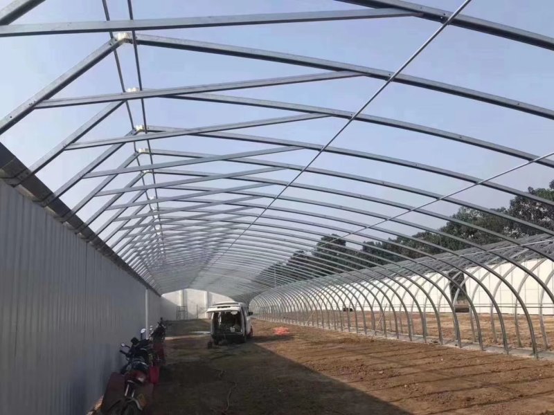 蔬菜大棚厂家温室大棚建设养殖大棚安装