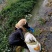 【冲量】中药材效益高石菖蒲种苗种植项目林下栽培提供技术