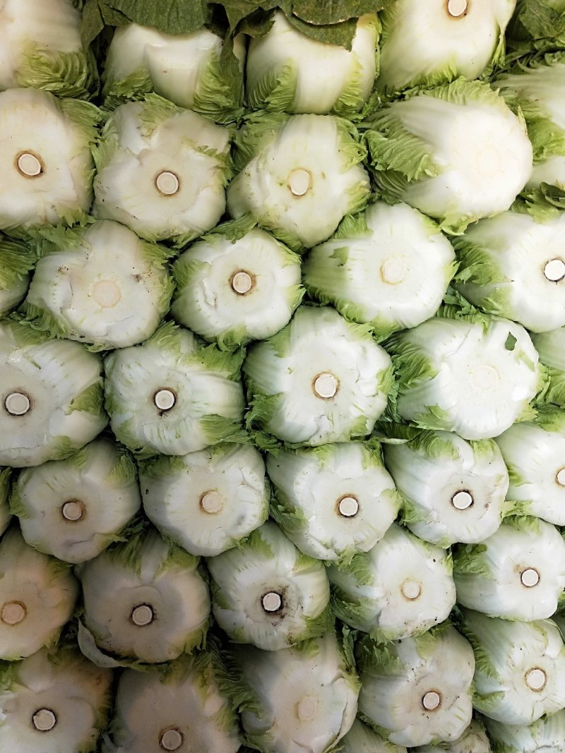 黄心大白菜