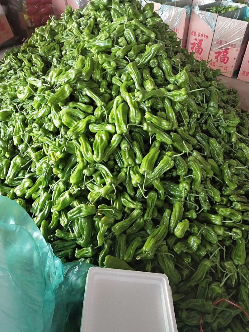 辣椒