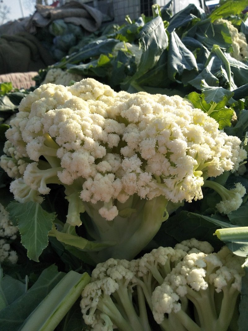 菜花