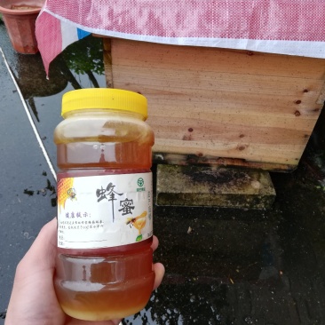 野生蜂蜜