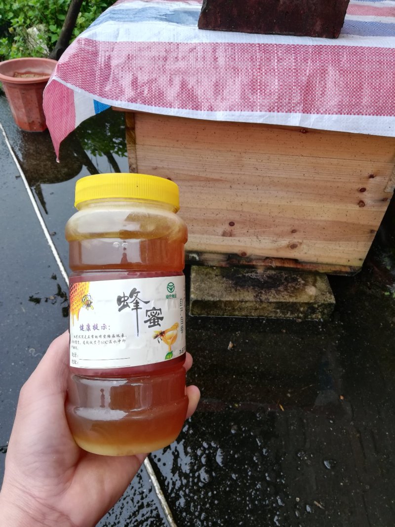 野生蜂蜜